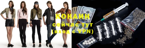mdpv Бородино