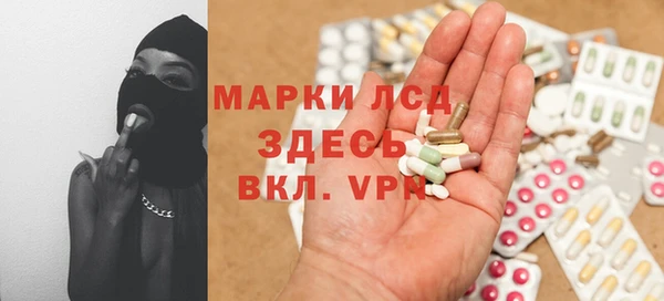 mdpv Бородино