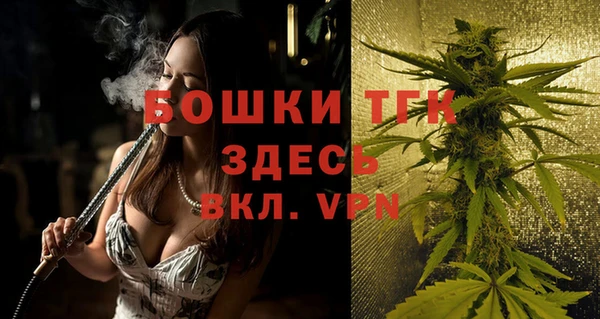 mdpv Бородино