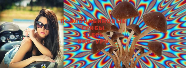 MESCALINE Верея