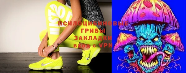 apvp Россошь