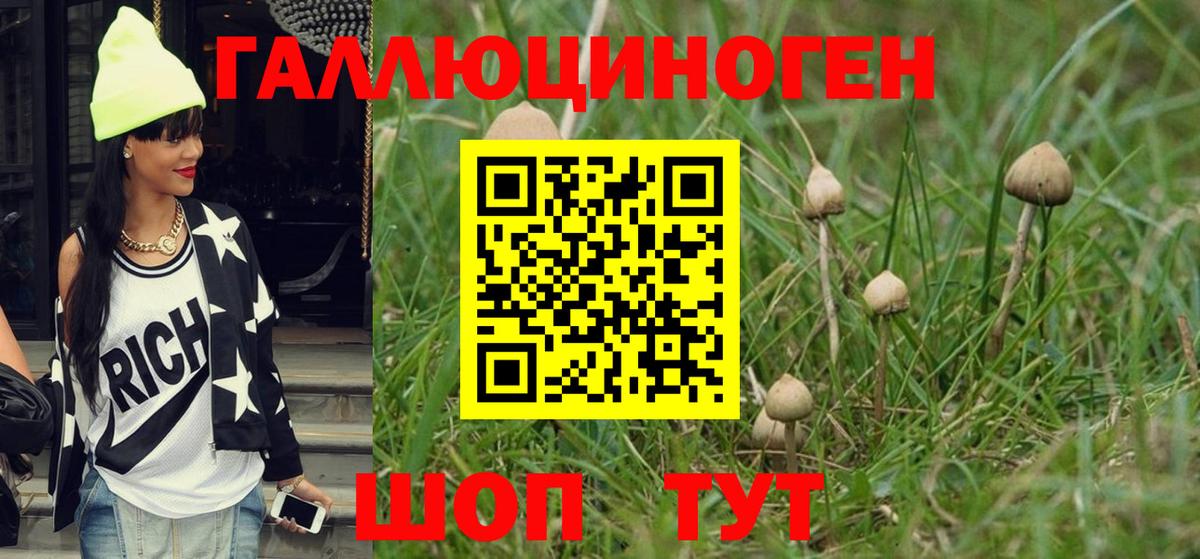 Псилоцибиновые грибы Cubensis Петрозаводск