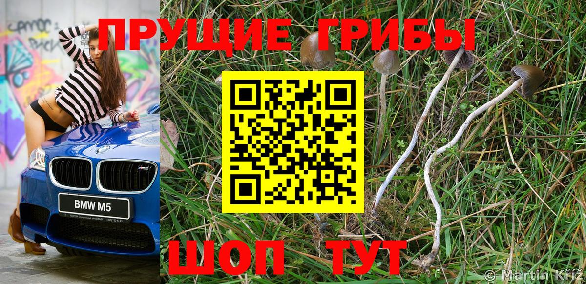 Галлюциногенные грибы прущие грибы  Вход с VPN  Петрозаводск 