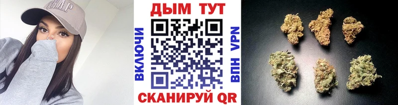 Шишки марихуана конопля  Петрозаводск 